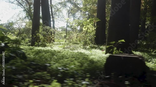 秋の風景