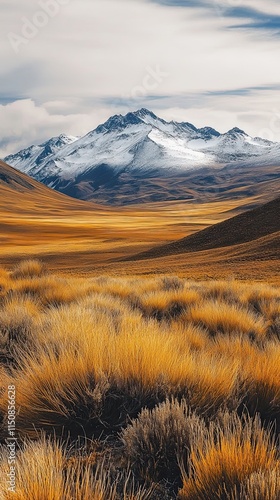 Snow capped mountains overlook golden grasslands photo