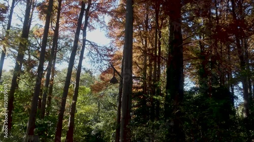 秋の風景