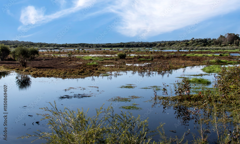 Wetlands of Yanchep National Park Western Australia