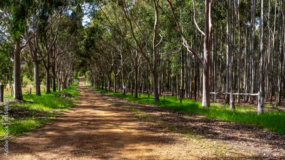 Western Australian country road