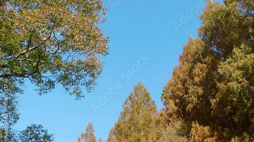 秋の風景