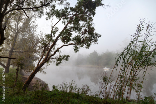 Obraz na płótnie Morning countryside landscape fog low lying . NSW Australia w salonie