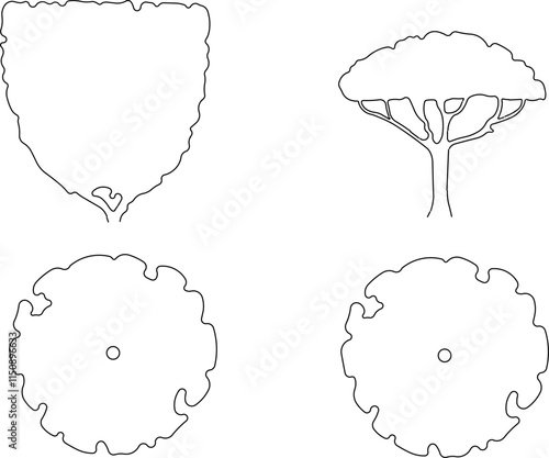 vector illustration design image plant tree sketch simple silhouette for completeness of the image