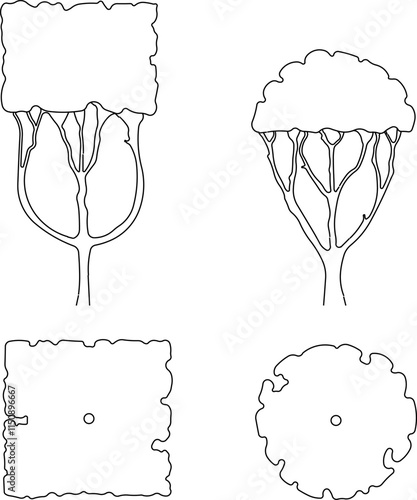 vector illustration design image plant tree sketch simple silhouette for completeness of the image
