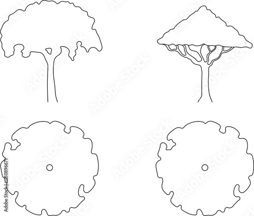 vector illustration design image plant tree sketch simple silhouette for completeness of the image