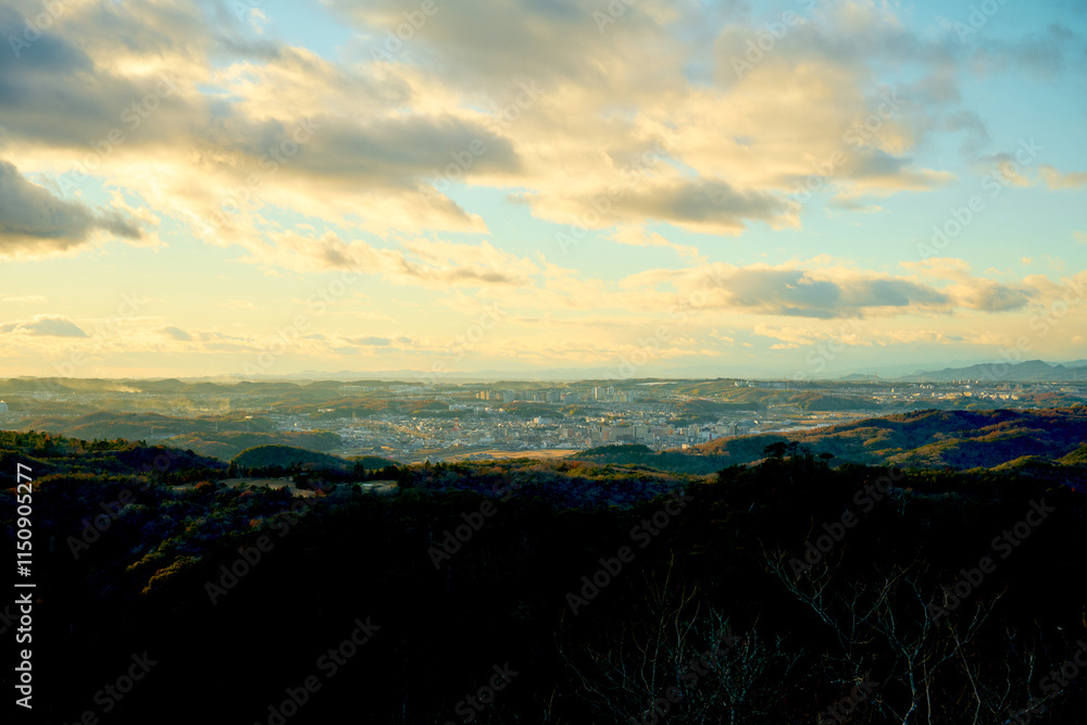 Fototapeta premium 大岩ヶ岳から見える三田市の街並み
