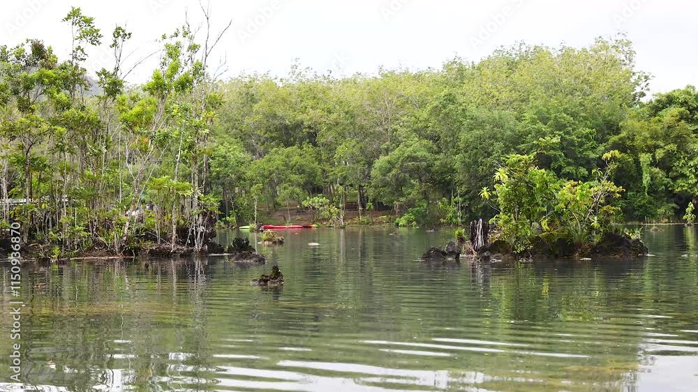 Kayaking Through Krabi's Serene Waters Kayaking Through Krabi's Serene Waters