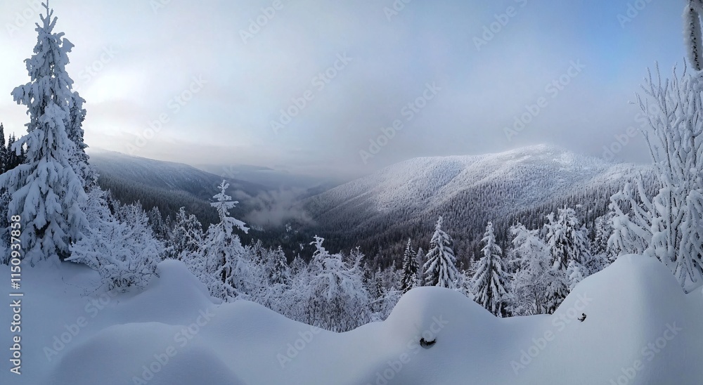 custom made wallpaper toronto digitalsnow covered trees