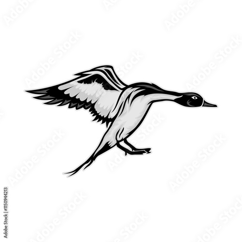 pintail duck hunting illustration logo vector image t shirt photo