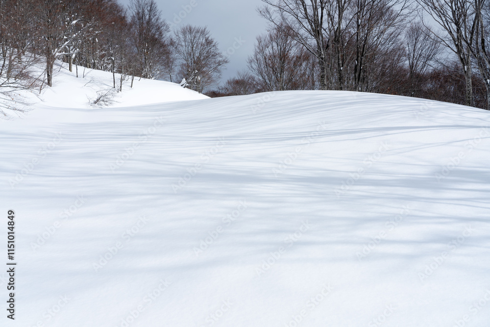 雪原の風景 雪原の風景