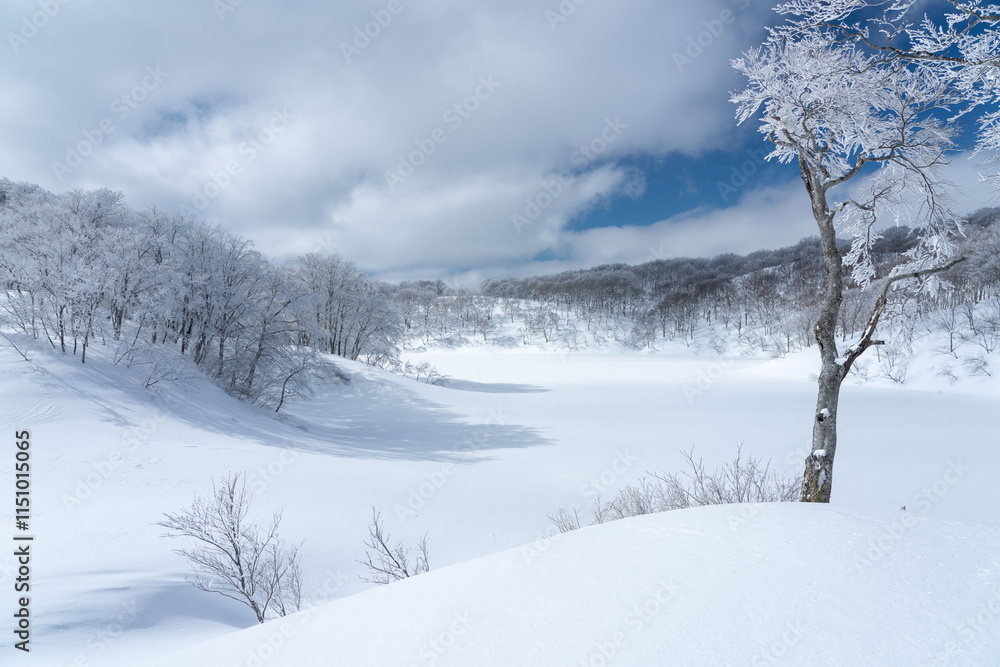 雪原の風景