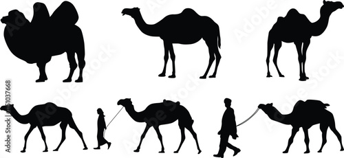 set of camel silhouettes illustration