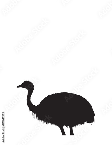 Ostrich Silhouette Vector illustration