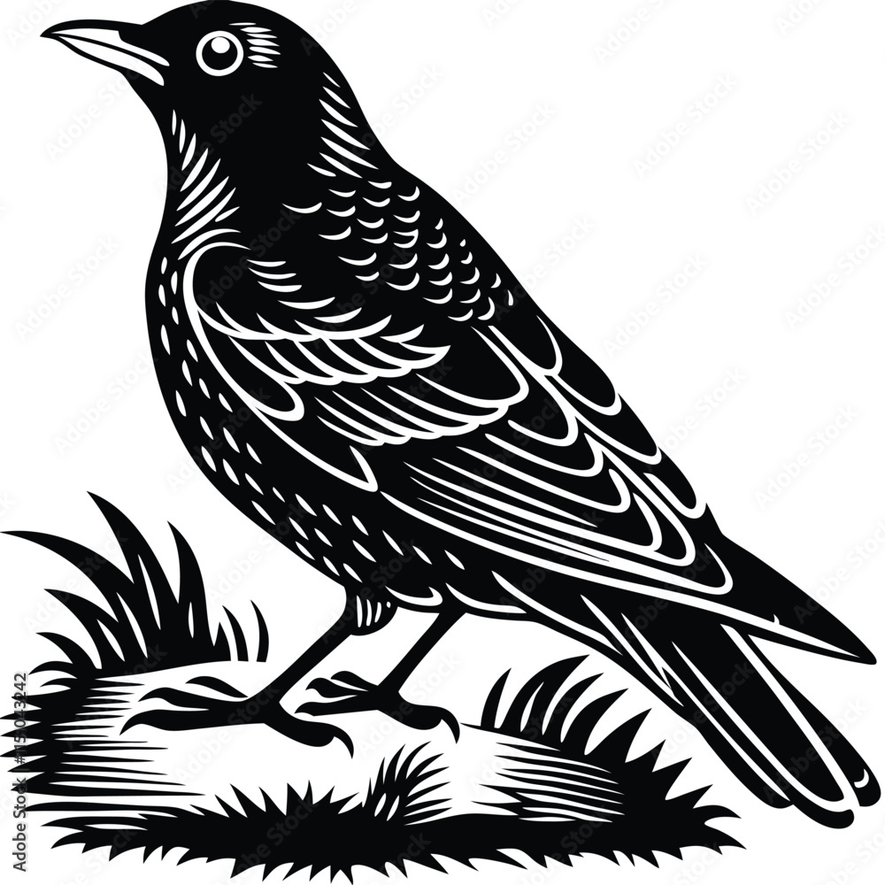 Obraz premium Martin vector silhouette, isolated white background