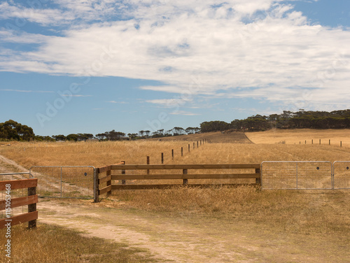 Obraz na plátně Rural scene in South Australia, Australia during summer with fences and metal ga