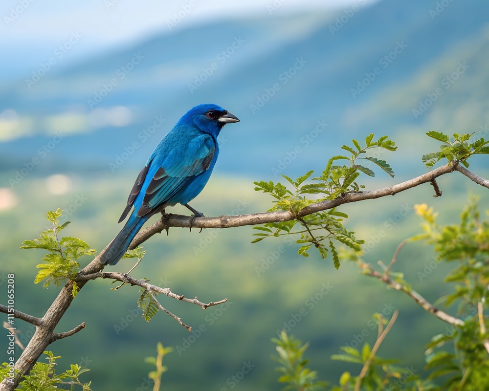 Fototapeta premium a realistic photo blue bird background.