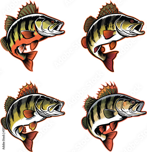 fierce zander t-shirt logo vector design.