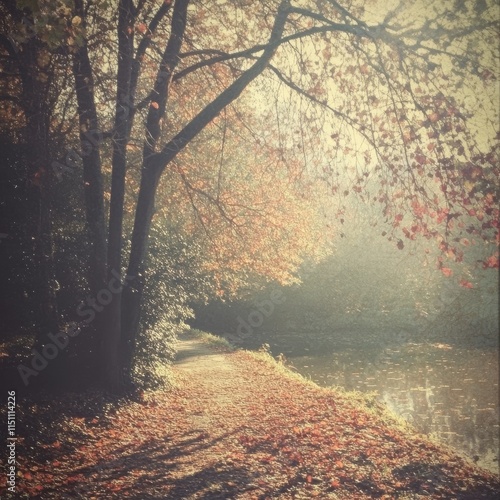 Vintage-filtered fall pic