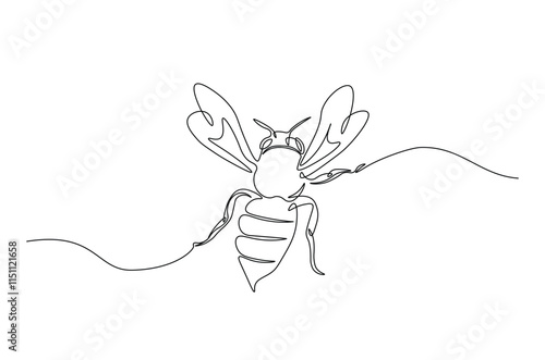 Honey bee continuous one line drawing. Honeybee insect single line art illustration. Editable vector.