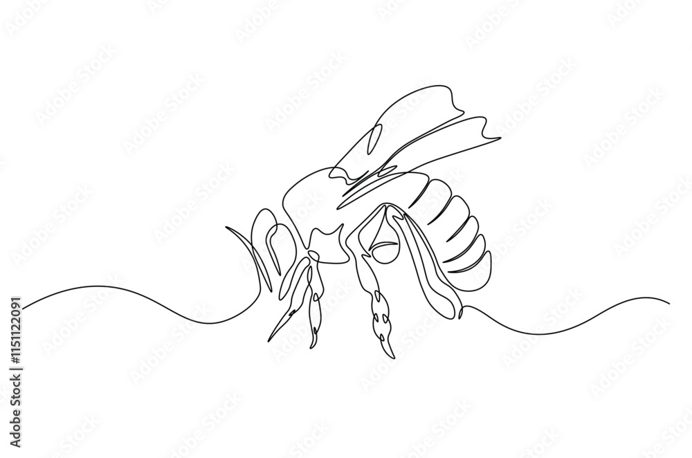 Honey bee continuous one line drawing. Honeybee insect single line art illustration. Editable vector. Honey bee continuous one line drawing. Honeybee insect single line art illustration. Editable vector.