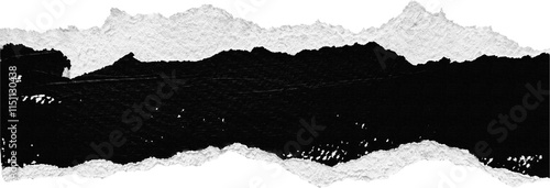 Black & White Painted Ripped Paper Piece