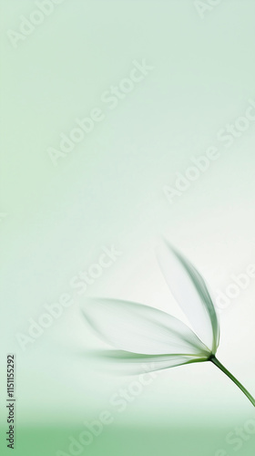 Delicate White Flower with Green Stem on Soft Green Background