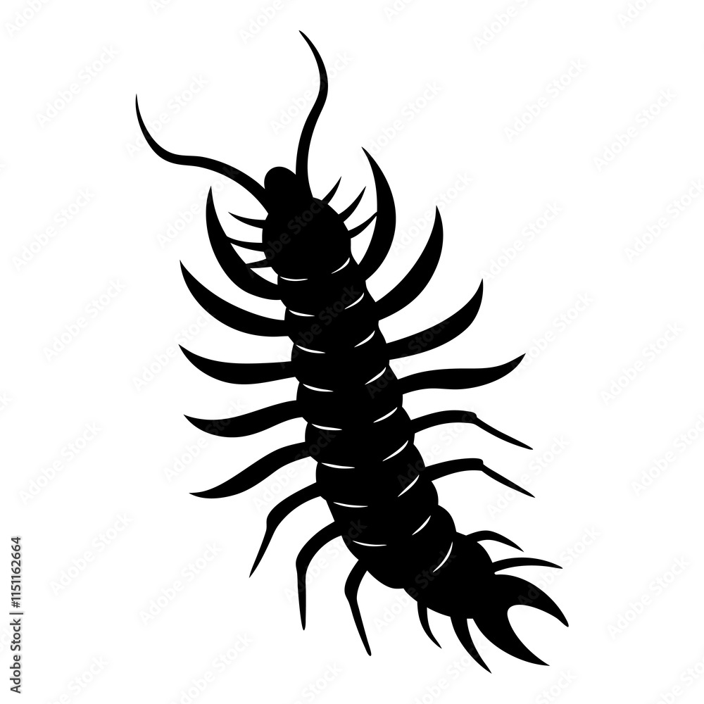 Centipede Silhouette vector illustration Centipede Silhouette vector illustration