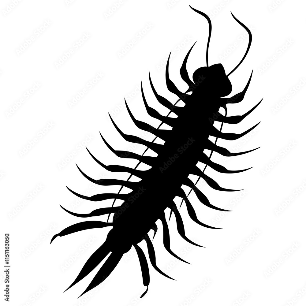 Obraz premium Centipede Silhouette vector illustration