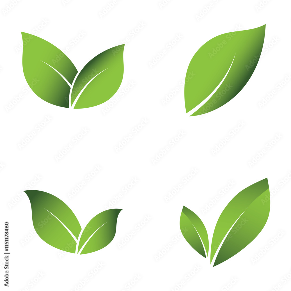 Green Leaf Set Logo Grapich Images Green Leaf Set Logo Grapich Images