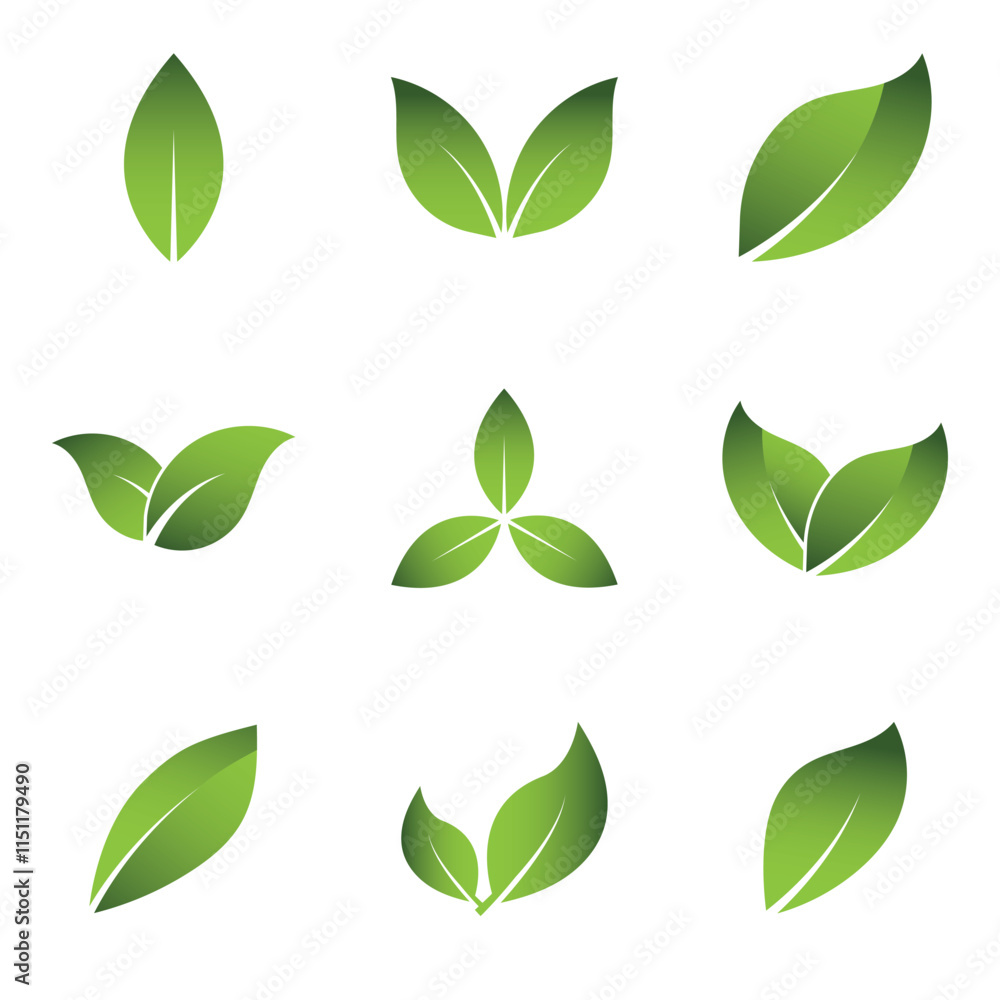 Naklejka premium Green Leaf Set Logo Grapich Images