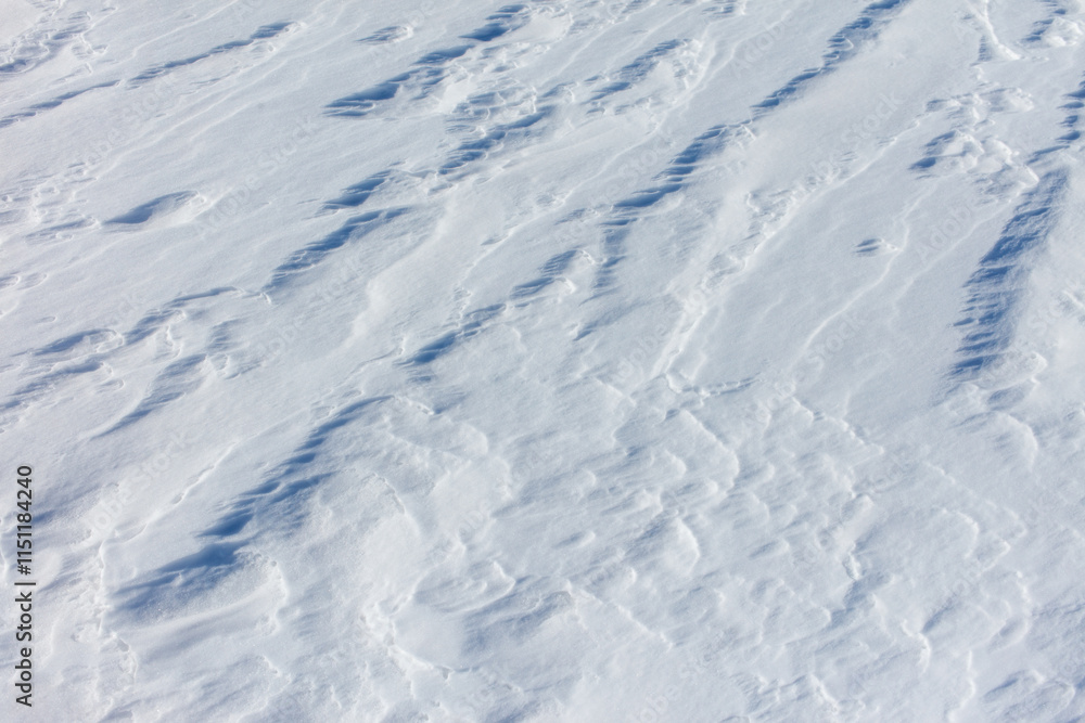 The snow is white and the ground is covered in it The snow is white and the ground is covered in it