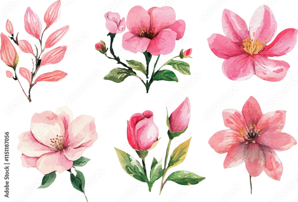 Fototapeta premium pink and white flowers
