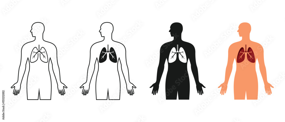 set of body organ designs, position of the human lungs, simple outline and colored style, editable vector eps 10.