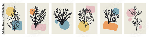 Coral and seaweed branches, modern wall art, botanical interior posters set. Abstract marine cards with sea and ocean plants, exotic nature and organic geometric shapes. Flat vector illustrations