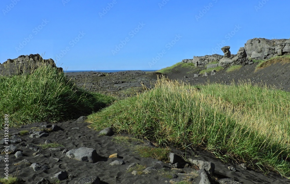 the  tectonic rift between the continents  of europe and north america  on a sunny  summer day near harfnarfjordur, along route 425, south of reykjavik, iceland