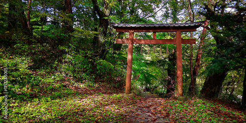 Fotografi torri gate , in the forest ,is an access to a  shinto shrine in Japan