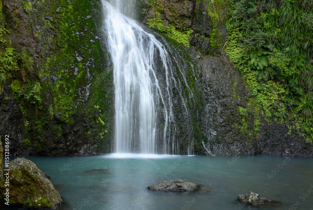Fototapeta premium Kitekite Falls. Waitakere Ranges Regional Park. Auckland.