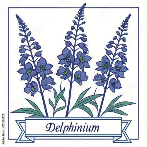 Delphinium Head