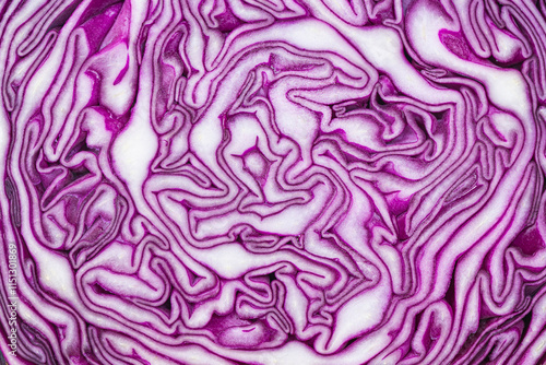 Extreme Closeup of Purple Cabbage Texture