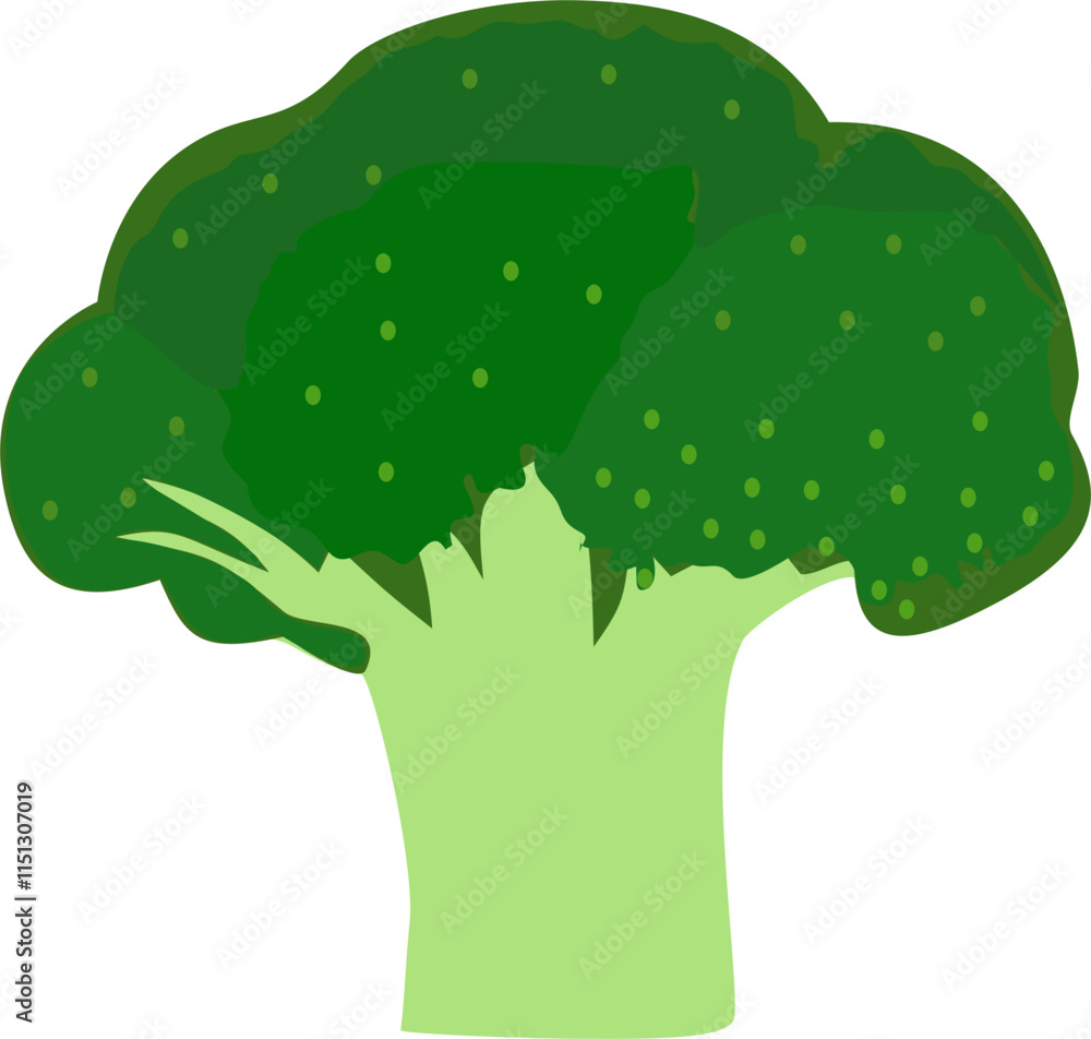 Obraz premium illustration of a broccoli