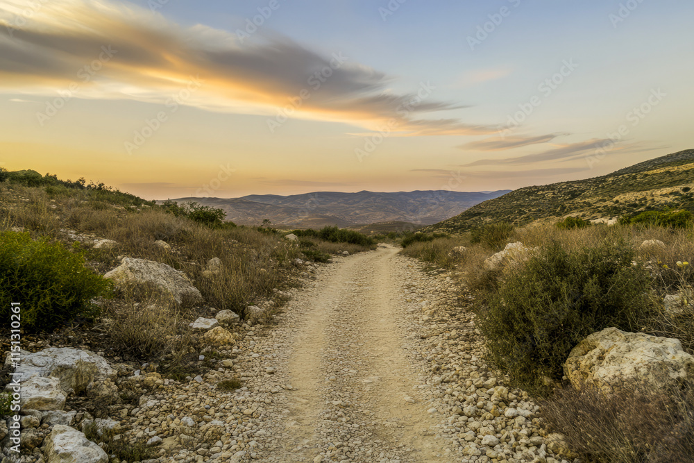 Rugged mountain path at sunset with golden sky and rolling hills Rugged mountain path at sunset with golden sky and rolling hills