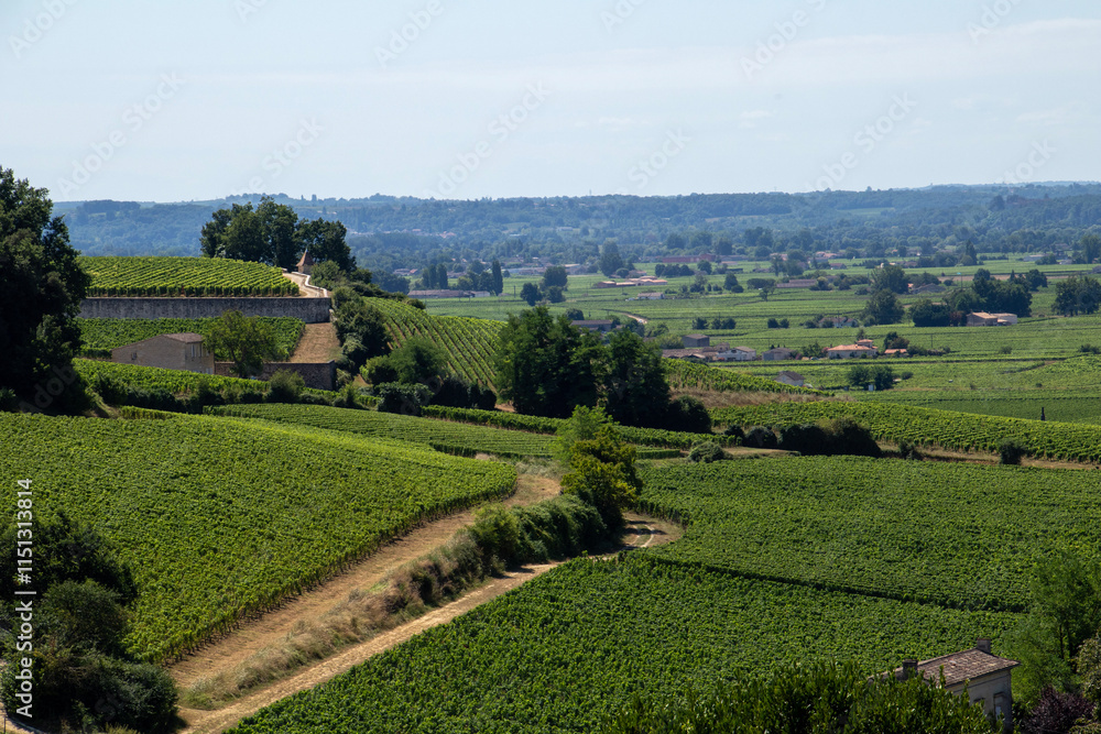 Obraz premium Saint-Émilion, France