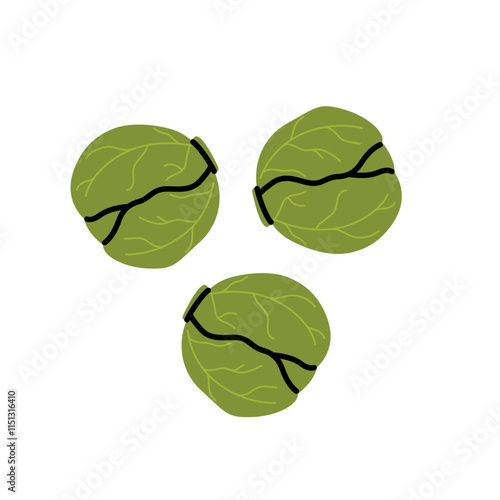 Hand drawn brussels sprouts. Healthy food, cabbage in doodle simple style. Vegetales