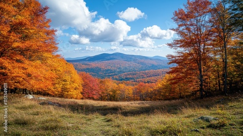 Scenic mountain vista with fall foliage