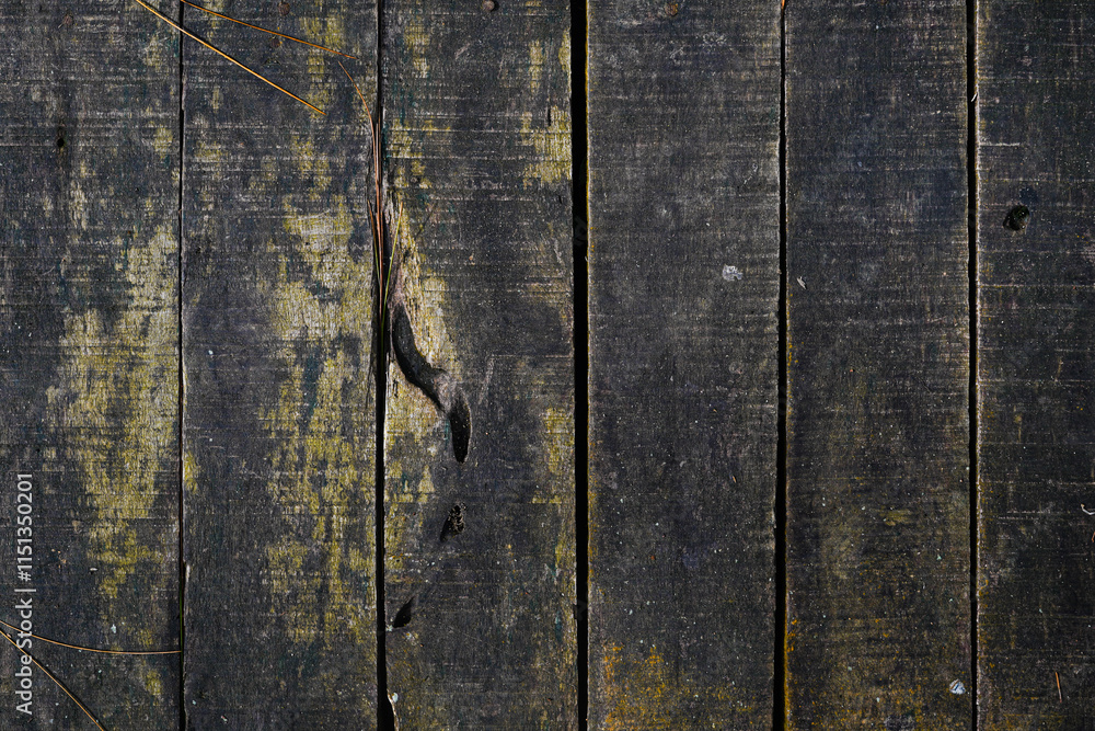 Fototapeta premium old wood texture