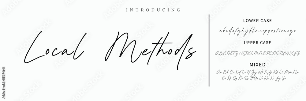 Hand drawn vector alphabet. Modern monoline signature script font. Elegant Signature Font. Best Alphabet Beautiful Calligraphy Signature Font lettering