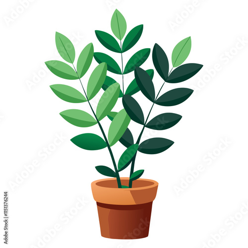 Zamioculcas potted plant showcasing vibrant green leaves on a clean white background