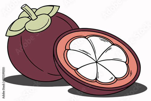 Mangosteen, Rounded shape with a star-shaped base and inner sections vector silhouette on a white background photo