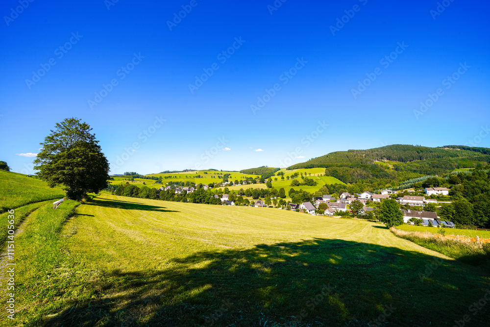 Obraz premium View of the green landscape near Oberhenneborn in the Sauerland. Hiking trails in nature. 